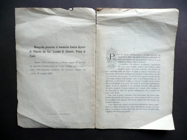 Sulla Distruzione dei Lombrici Lasagno Giuseppe UTET Torino 1891 Zoologia …