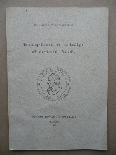 Sulla Interpretazione Di Casi Teratologici Infiorescenze Zea Mais Botanica 1929