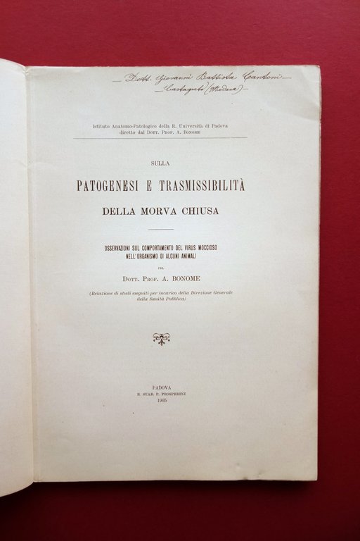 Sulla Patogenesi e Trasmissibilit‡ della Morva Chiusa A. Bonome Padova …