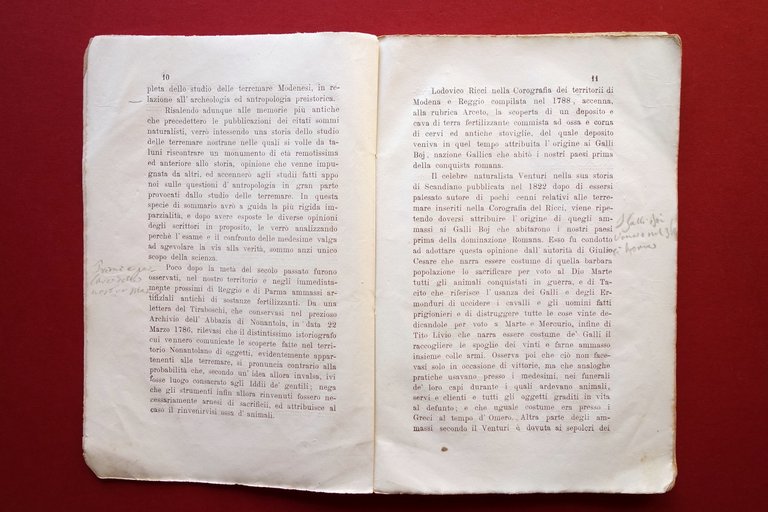 Sulle Terremare e Palafitte Modenesi C. Boni Avanzi Animali G. …