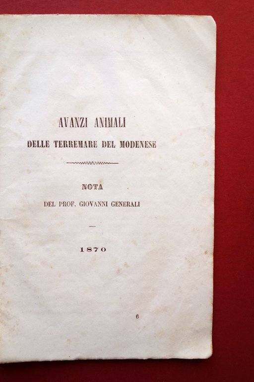 Sulle Terremare e Palafitte Modenesi C. Boni Avanzi Animali G. …
