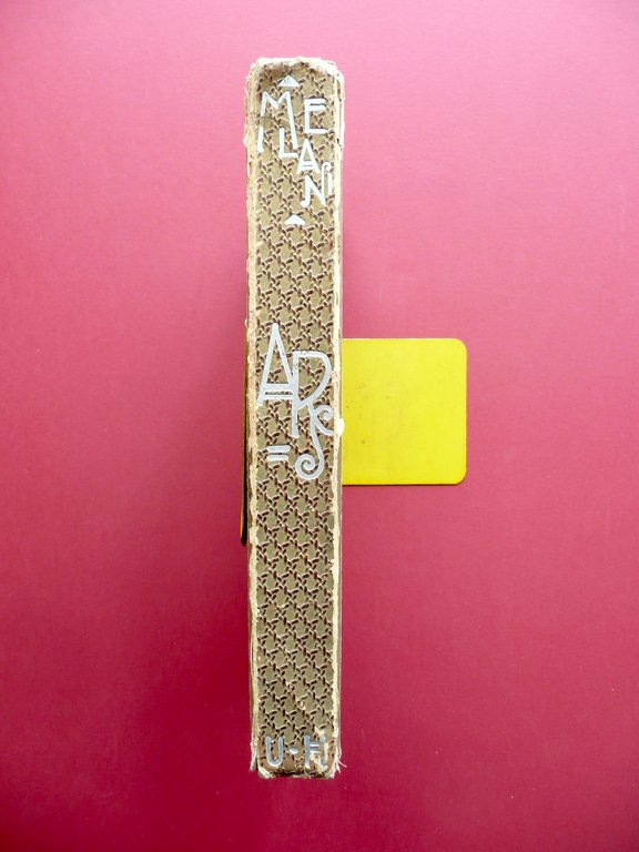 Svaghi Artistici Femminili A. Melani Hoepli Milano 1892 Ricami Gioielli …