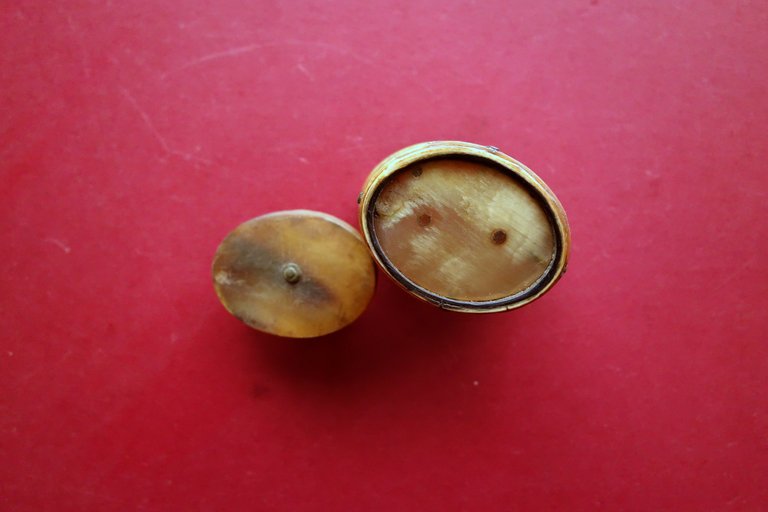 Tabacchiera Originale Ottocento in Osso e Corno Fatta a Mano …