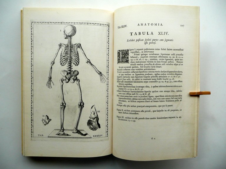 Tabulae Anatomicae Bartholomaei Eustachii Wetstenios Amsterdam 1722 Anastatica