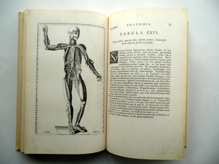 Tabulae Anatomicae Bartholomaei Eustachii Wetstenios Amsterdam 1722 Anastatica