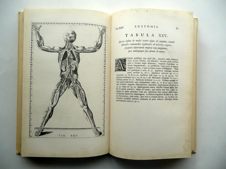 Tabulae Anatomicae Bartholomaei Eustachii Wetstenios Amsterdam 1722 Anastatica