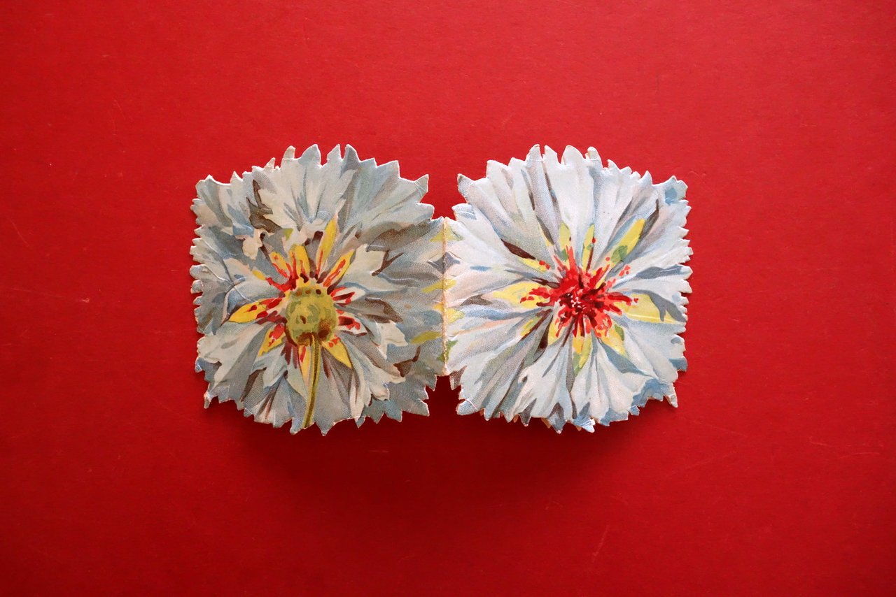 Talmone Torino Calendarietto Pubblicitario 1911 Completo Bella Grafica a Colori