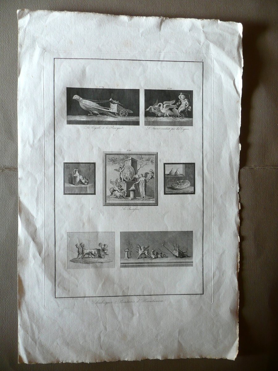 Tavola Arabesques et Peintures d'Hercolanum Ercolano Acquaforte Primo Ottocento | Immagine principale