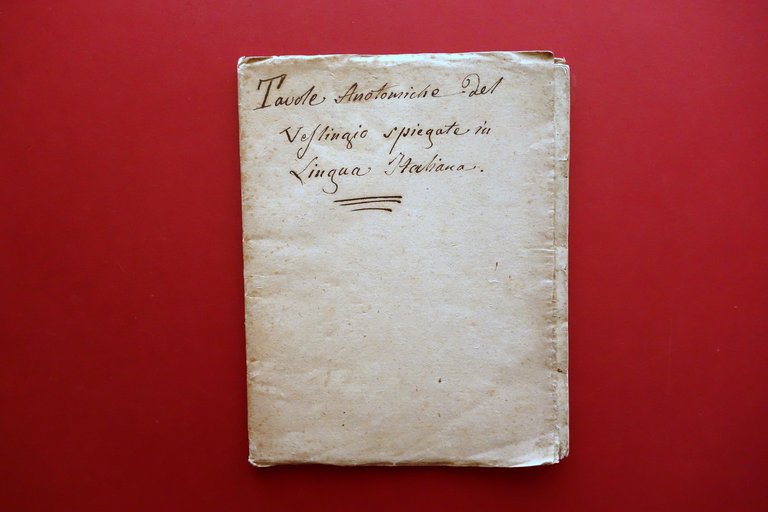 Tavole Anatomiche del Veslingio Spiegate in Lingua Italiana Conzatti Padova …