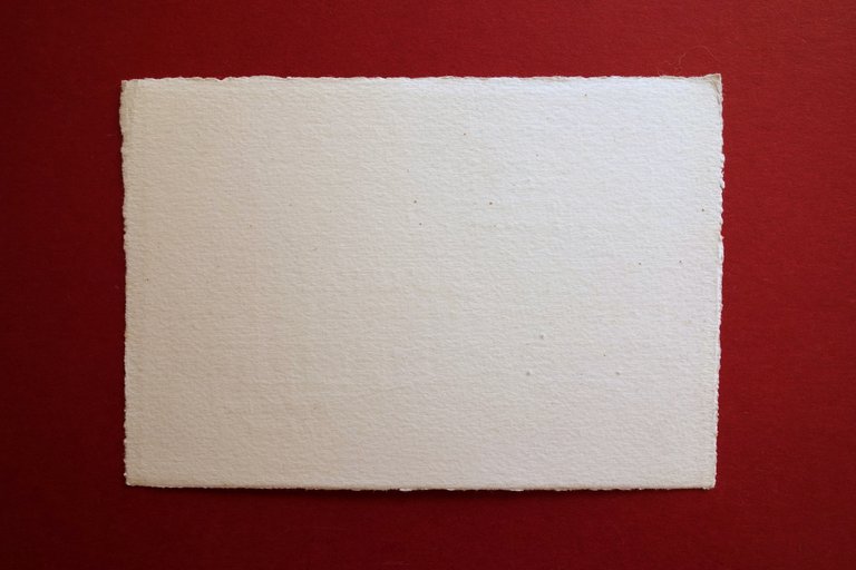 Tessera d'Onore Mostra Nazionale Formaggi Italiani e Derivati del Latte …