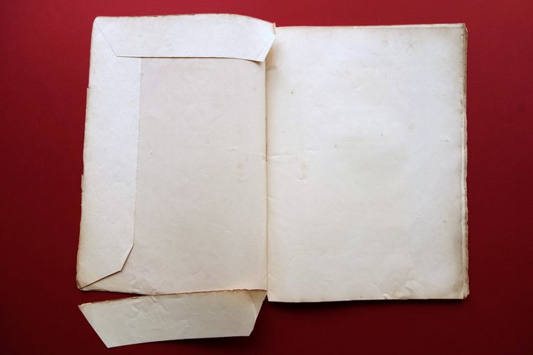 Testamento Maestro Taddeo degli Alderotti Domenico Barduzzi Mariotti Pisa 1891