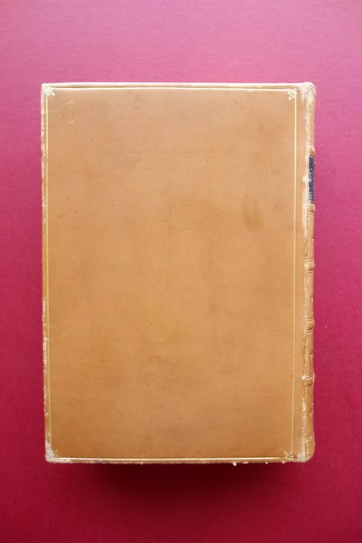 The Poetical Works of Lord Byron Warne Albion 1906 Legatura …