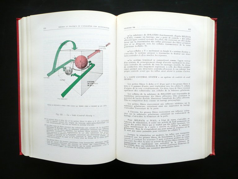 Theorie et Pratique de l'Analgesie par Acupuncture SOCEDIM 1974 Agopuntura …