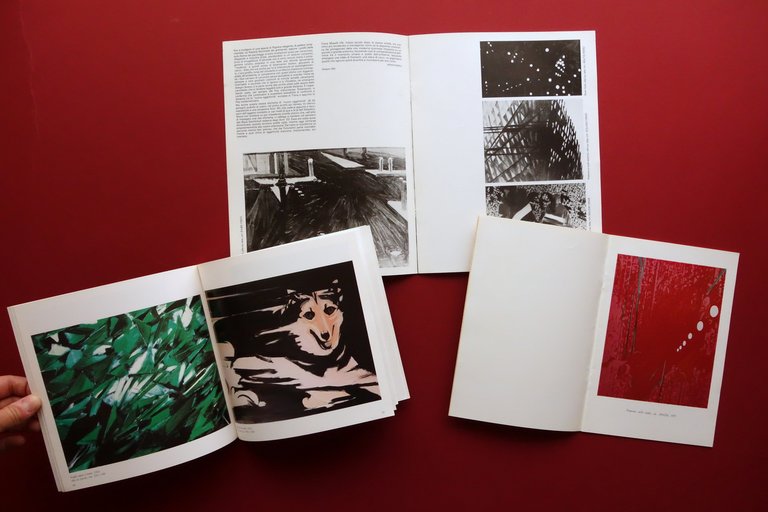 Titina Maselli 3 Cataloghi Parco Massari Galleria Santacroce Casa Mantegna