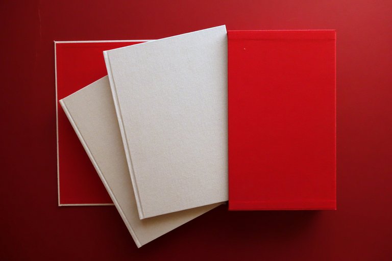 Tomo In Memory of Davide Sorrenti Photoart AA. VV. Sartoria … | Immagine Gallery 2