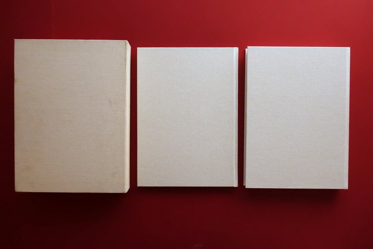 Tomo In Memory of Davide Sorrenti Photoart AA. VV. Sartoria … | Immagine Gallery 3