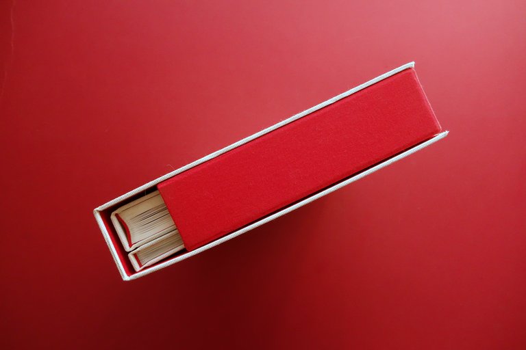 Tomo In Memory of Davide Sorrenti Photoart AA. VV. Sartoria … | Immagine Gallery 4