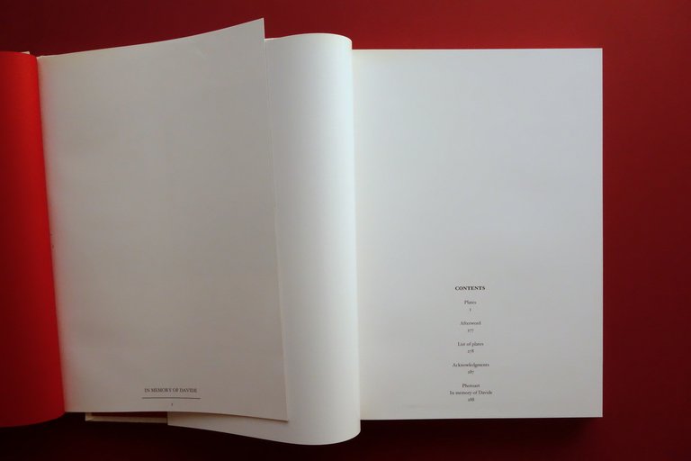 Tomo In Memory of Davide Sorrenti Photoart AA. VV. Sartoria … | Immagine Gallery 5