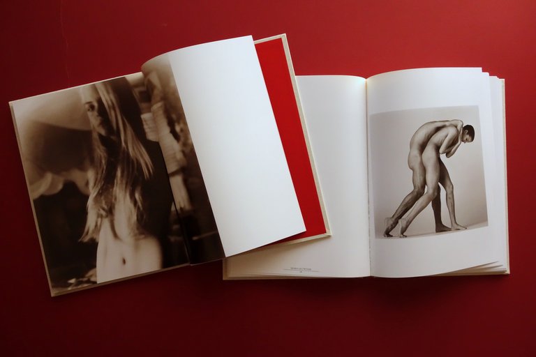 Tomo In Memory of Davide Sorrenti Photoart AA. VV. Sartoria … | Immagine Gallery 6