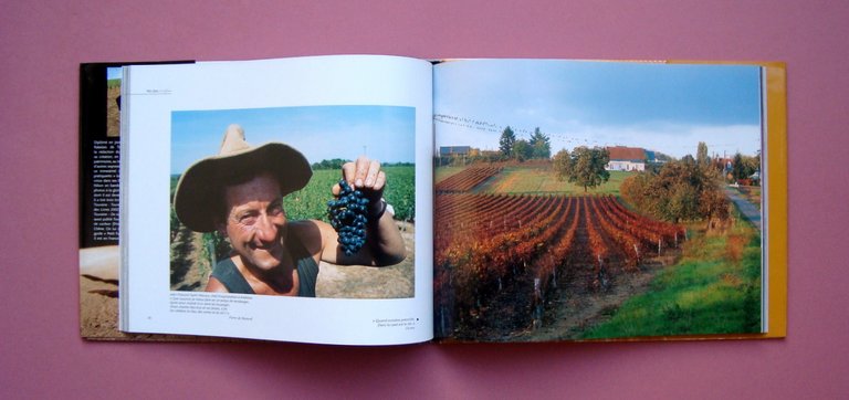 Touraine en Caves 2004 Ed.du Magazine de la Touraine vigne,cantine …