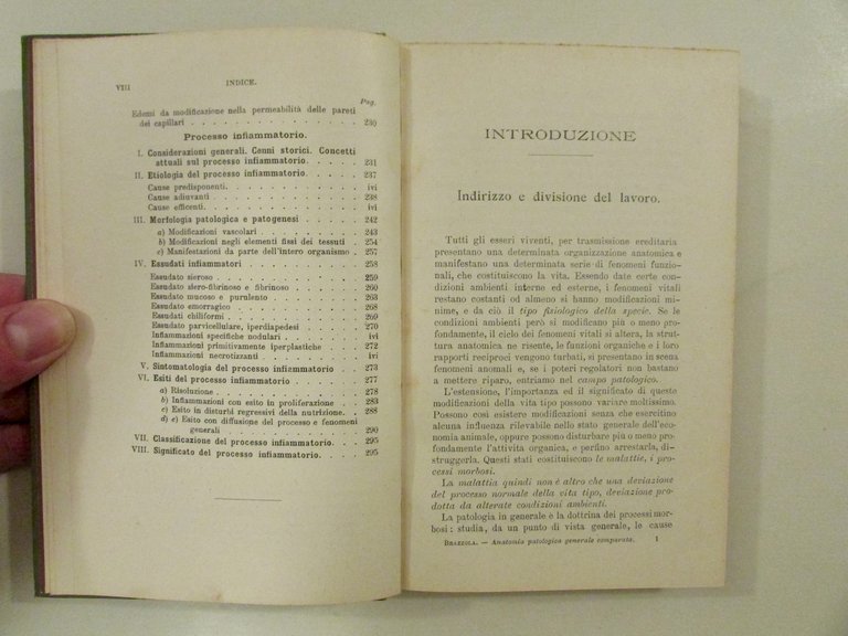 Trattato di Anatomia Patologica Vol. I Patologica Generale Vallardi Primo … | Immagine Gallery 5