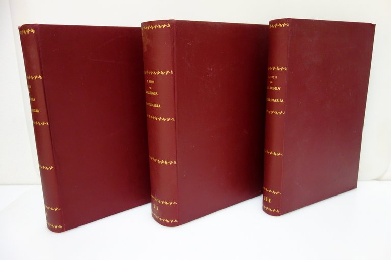 Trattato di Anatomia Veterinaria AA.VV. Vallardi Milano 1909 3 Voll. … | Immagine Gallery 2