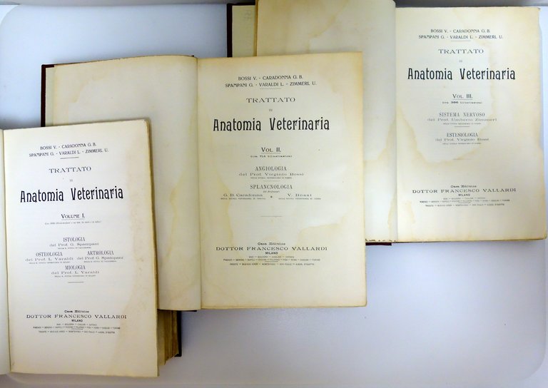 Trattato di Anatomia Veterinaria AA.VV. Vallardi Milano 1909 3 Voll. … | Immagine Gallery 3