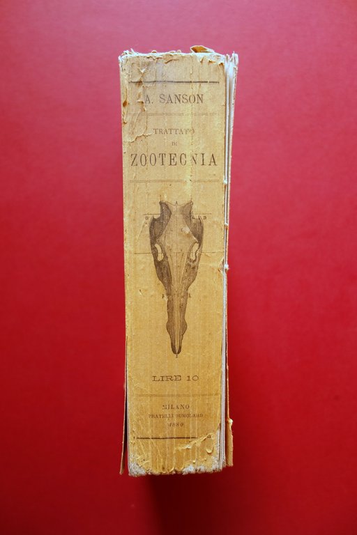 Trattato di Zootecnia A. Sanson Fratelli Dumolard Milano 1880 | Immagine Gallery 3