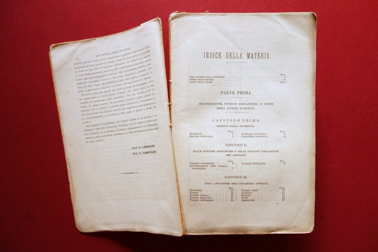 Trattato di Zootecnia A. Sanson Fratelli Dumolard Milano 1880 | Immagine Gallery 4