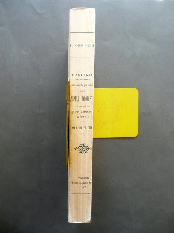 Trattato Teorico Pratico Malattie pi˘ Comuni degli Animali Domestici UTET … | Immagine Gallery 3