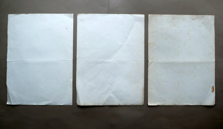 Tre Diplomi Brevetto Orientamento Atletico Valutazione Fisica Roma 1954-56-59 | Immagine Gallery 2