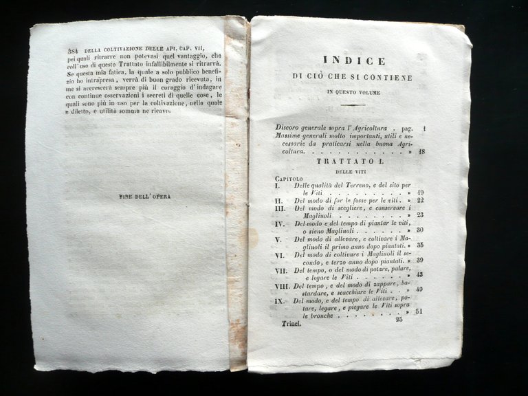 Trinci Diciotto Trattati di Agricoltura Silvestri Milano 1851 1∞ Ed. …