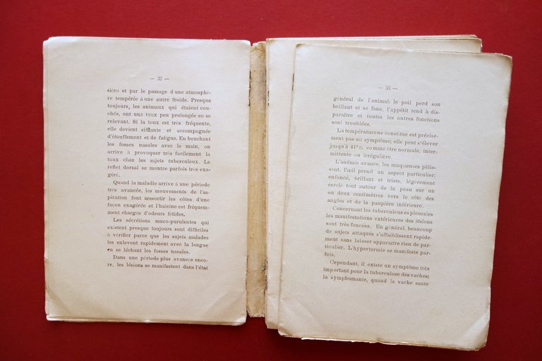 Tuberculose Bovine Extrait du Rapport au Ministre Ramon Bidart Buenos … | Immagine Gallery 4