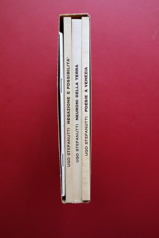 Ugo Stefanutti Citt‡ Dondolante Neuroni della Terra Negazione e Possibilit‡