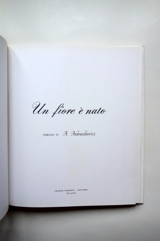 Un Fiore Ë Nato Disegni di A. Andruszkiewicz Pagnoni Milano … | Immagine Gallery 2