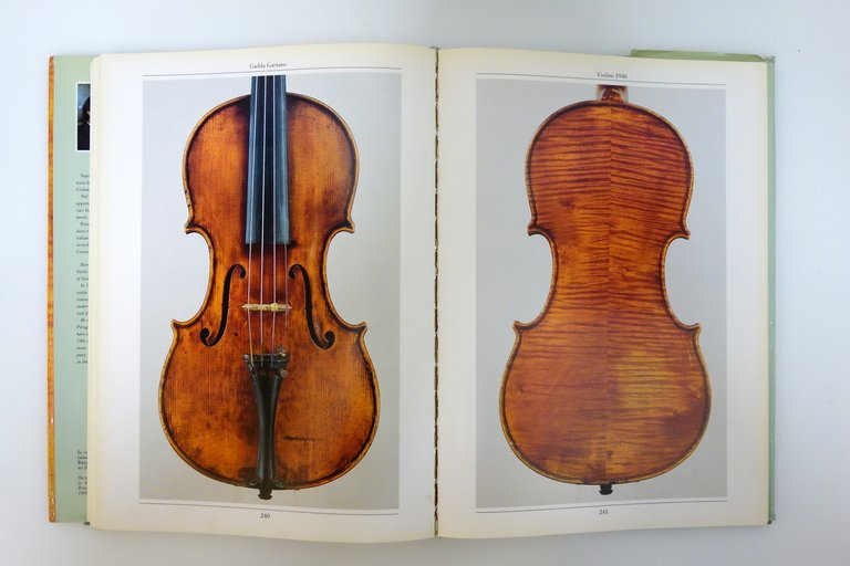 Un Secolo di Liuteria Italiana II Lombardia e Veneto Eric … | Immagine Gallery 6