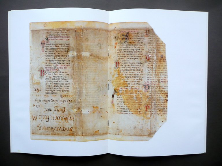 Uno Sconosciuto Manoscritto Provenzale Archivio di Castagnolo Minore Rizzo 1984 | Immagine Gallery 2