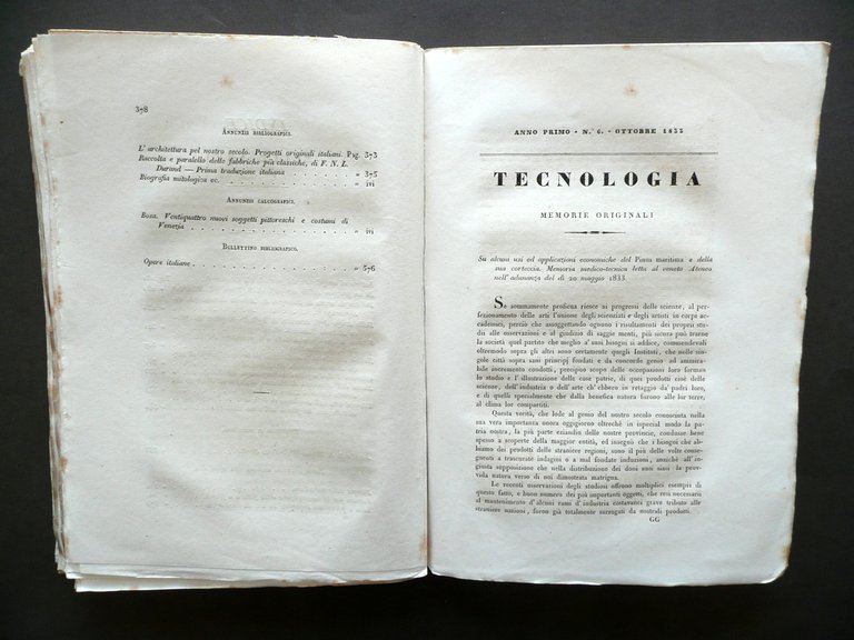 Uso Pinus Maritima Giornale di Belle Arti e Tecnologia Anno … | Immagine Gallery 4