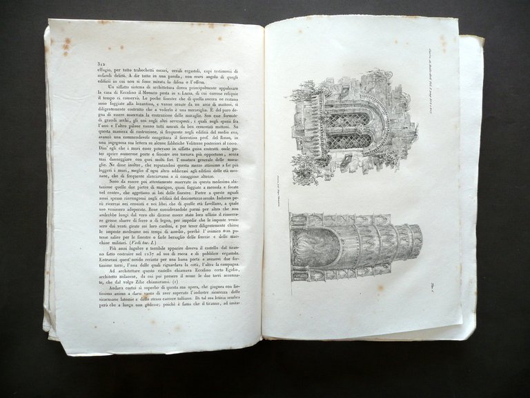 Uso Pinus Maritima Giornale di Belle Arti e Tecnologia Anno … | Immagine Gallery 7