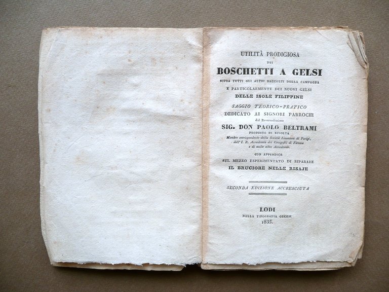 Utilit‡ Prodigiosa dei Boschetti a Gelsi Paolo Beltrami Rivolta Orcesi …