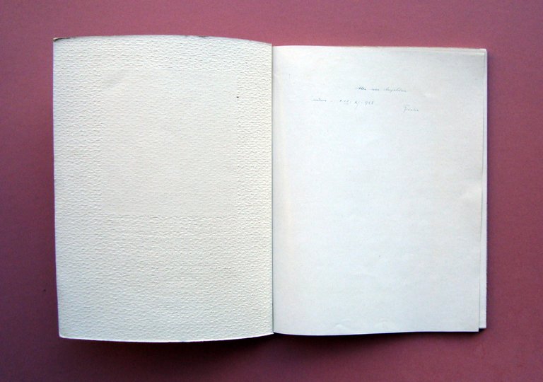 Vaccari Solmi Annoni Bariola Rinascita Broletto Comune Pavia 1928 Ed …