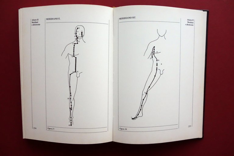 Vademecum di Agopuntura Sintomatica J.-A. Lavier Monduzzi Bologna 1979