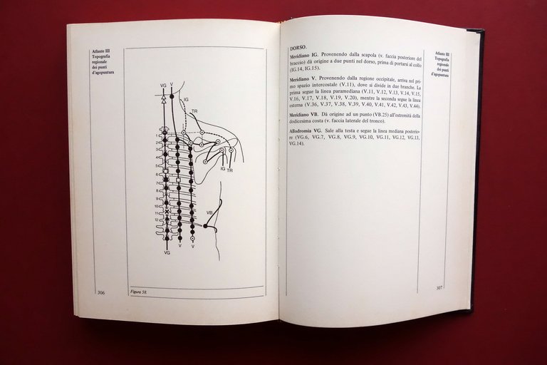 Vademecum di Agopuntura Sintomatica J.-A. Lavier Monduzzi Bologna 1979