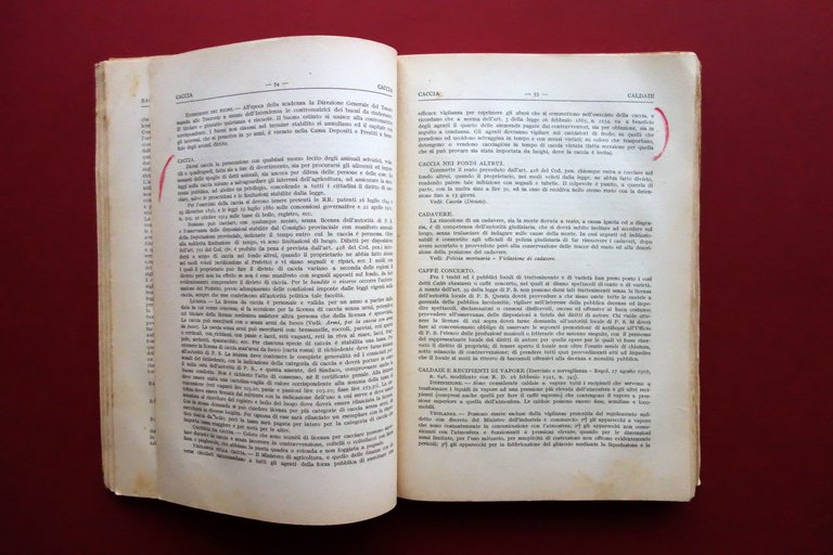 Vademecum Roselli Dizionario Teorico Pratico Politico di Pubblica Sicurezza 1924