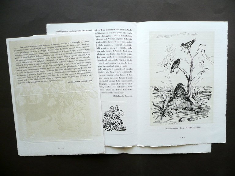 Valbona Urbino Arte Decorazione Libro Romagnoli Baschieri Acqueforti 1959