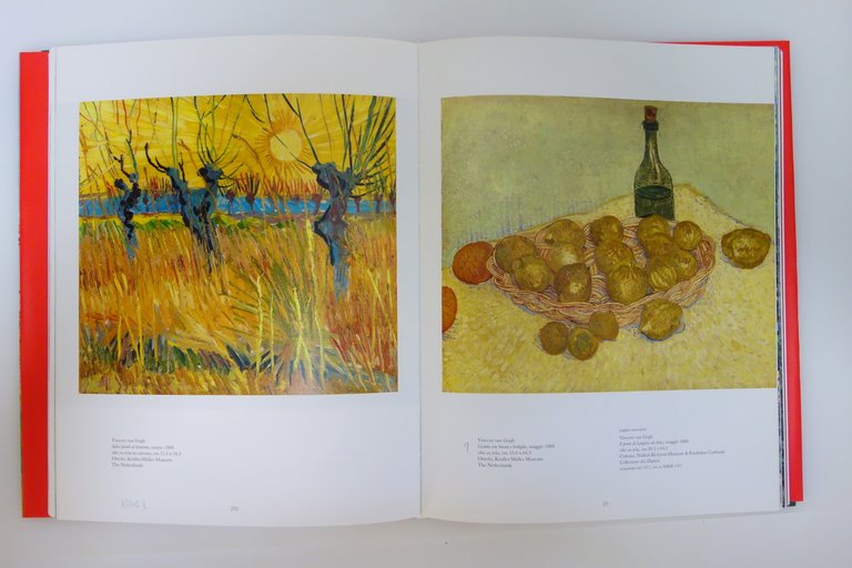 VAN GOGH TRA IL GRANO E IL CIELO GOLDIN VICENZA …