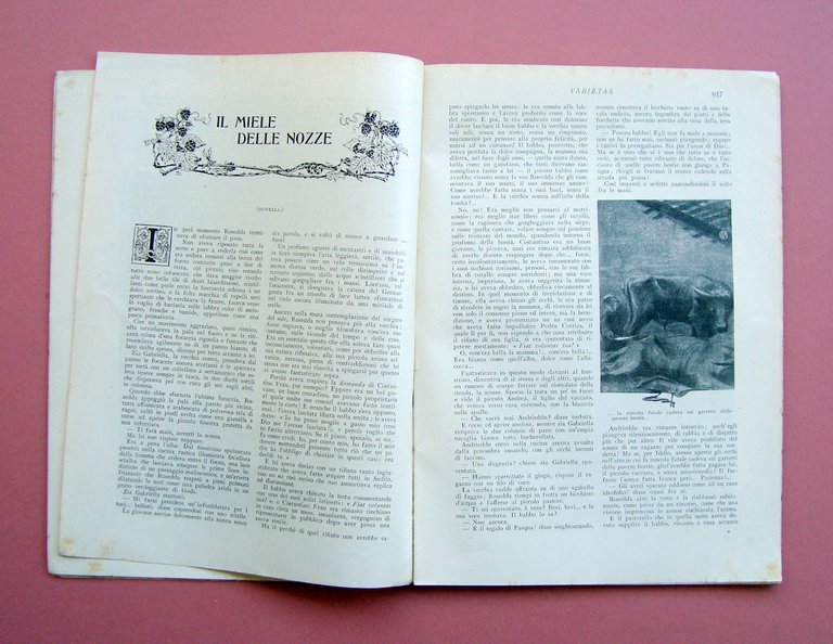 Varietas N 44 Dicembre 1907 Carta Leopoldo Il miele delle …