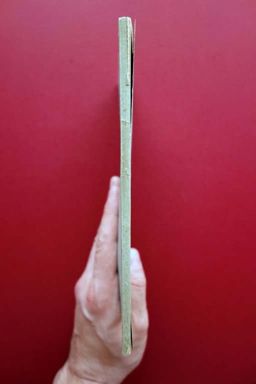 Venceslao Santi Pievepelago nel 1848 Societ‡ Tipografica Modenese 1913 Modena