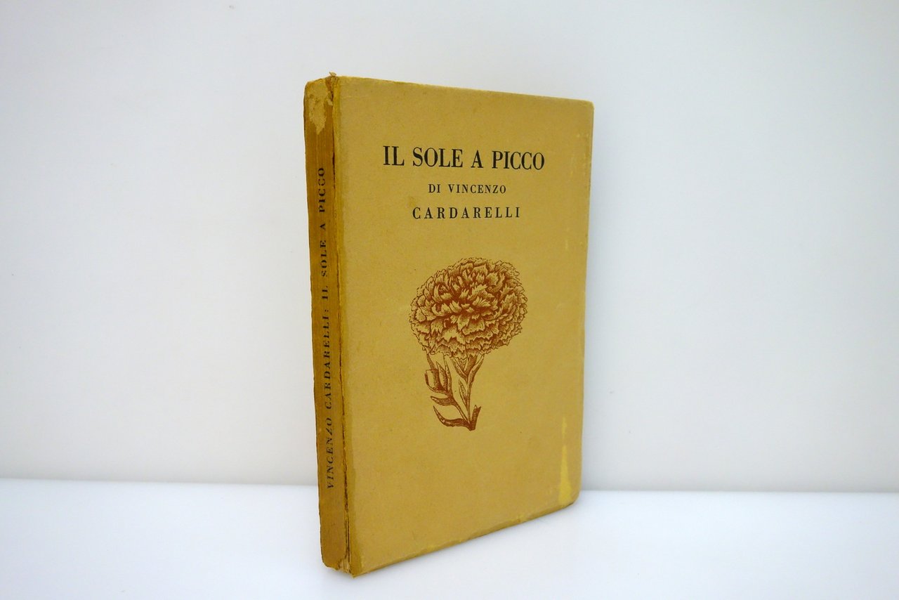 Vincenzo Cardarelli il Sole a Picco con 22 Disegni di … | Immagine principale