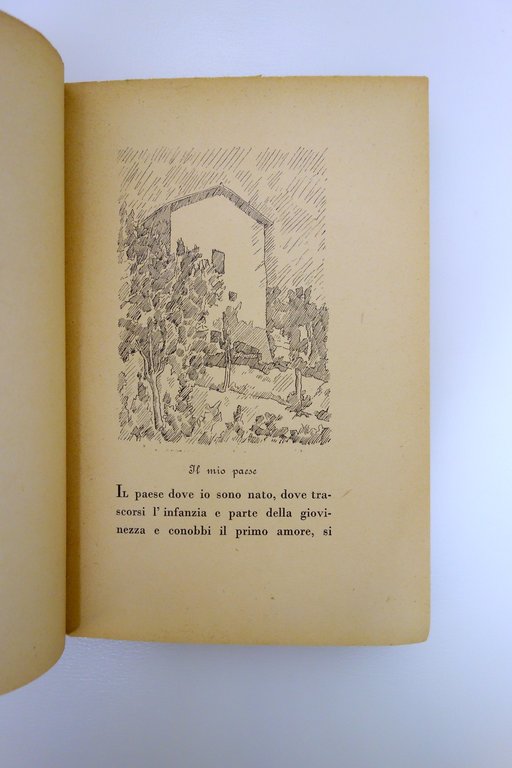 Vincenzo Cardarelli il Sole a Picco con 22 Disegni di … | Immagine Gallery 5